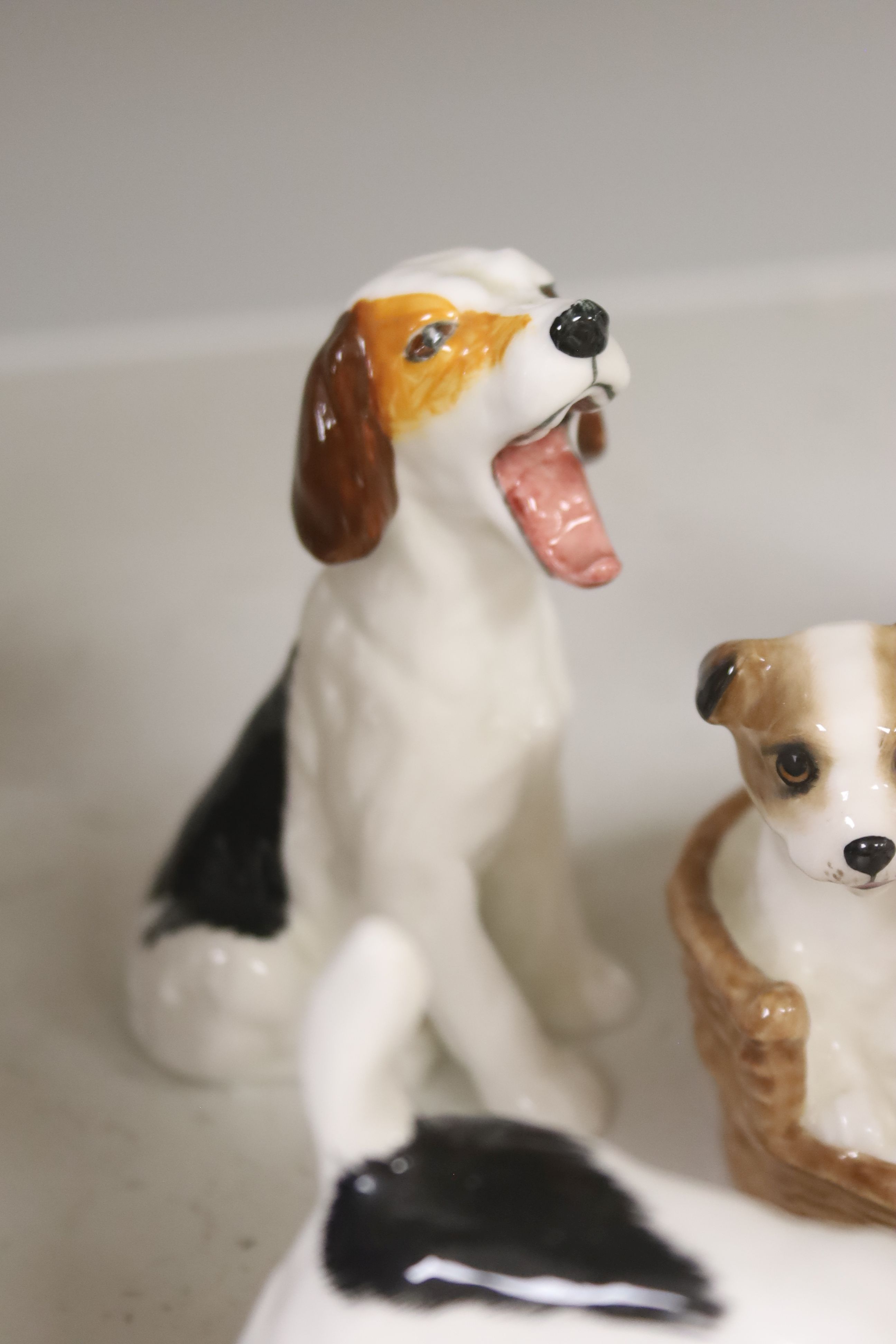 Seven Royal Doulton models of terrier puppies